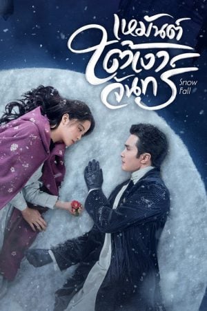 Snow Fall EP 20