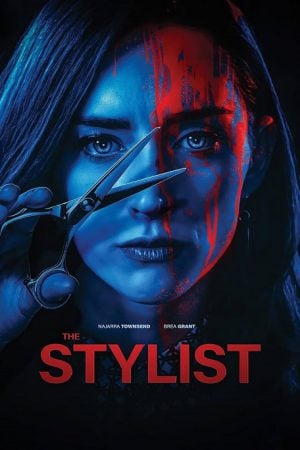 The Stylist (2020)