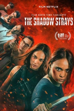 The Shadow Strays นักฆ่าเงาล่าทรชน (2024)