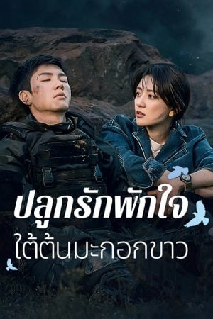 The White Olive Tree (2025) ปลูกรักพักใจ ใต้ต้นมะกอกขาว